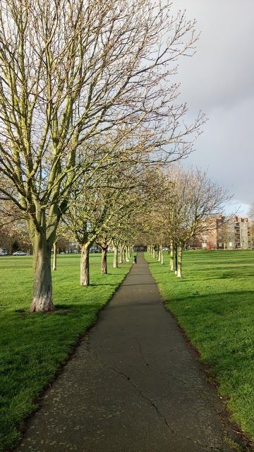 Peckham Rye Park And Common
